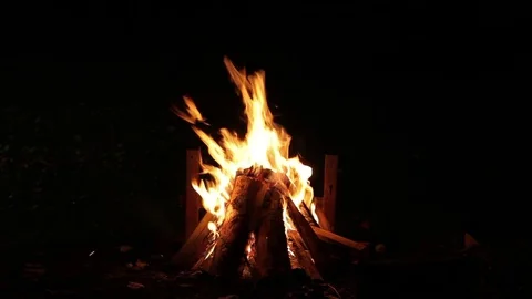 Bonfire burning trees at night Stock Footage 84757396