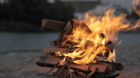 Bonfire burning trees at night. Stock Footage 114275582