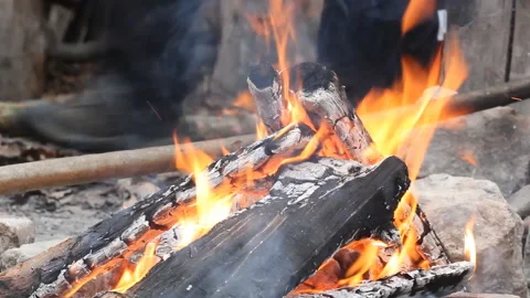 Bonfire burning trees at night. Large orange flame isolated on a black Stock Footage 120263007
