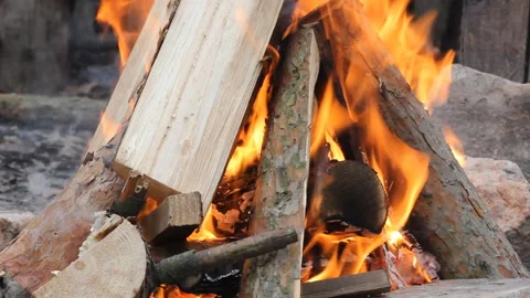 Bonfire burning trees at night. Large orange flame isolated on a black Stock Footage 120263070
