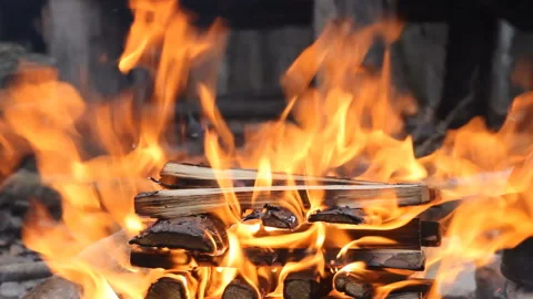 Bonfire burning trees at night. Large orange flame isolated on a black Stock Footage 120263501