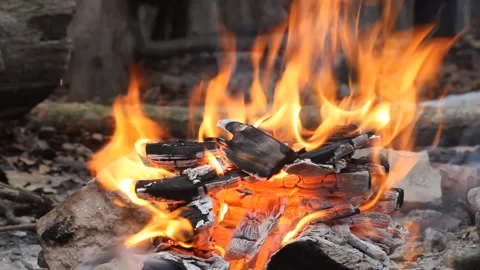 Bonfire burning trees at night. Large orange flame isolated on a black Stock Footage 120325251