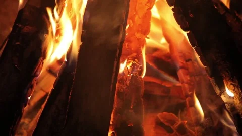 Bonfire burning trees at night. in the middle of fire. Stock Footage 84756588