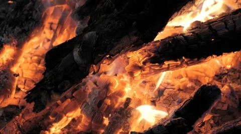 Bonfire burning trees at night. Stock Photos