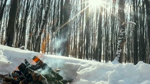 Bonfire is burning in the winter forest Видео 149025927