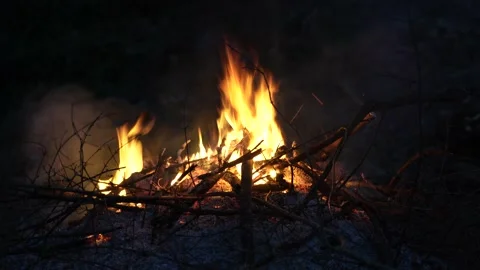 Bonfire burning wood in a fire pit. (4K clips) Vidéo 169072865