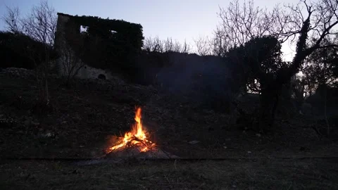 Bonfire burning wood in a fire pit. (4K clips) Vidéo 169072875
