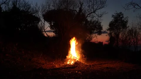 Bonfire burning wood in a fire pit. (4K clips) Stock Footage 169072896