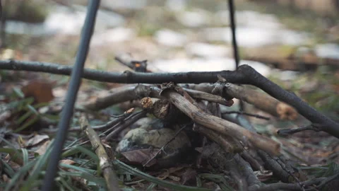 Bonfire burns in a beautiful spring forest Stock Footage 153030734