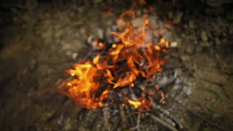 Bonfire burns with a bright flame 스톡 동영상 93543173