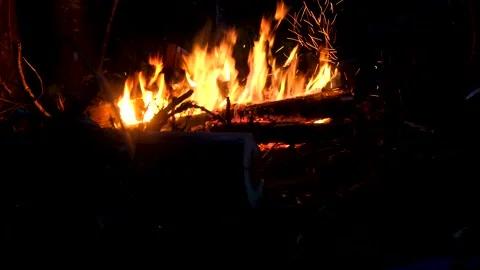 Bonfire burns in camping at night Stock Footage 155872154