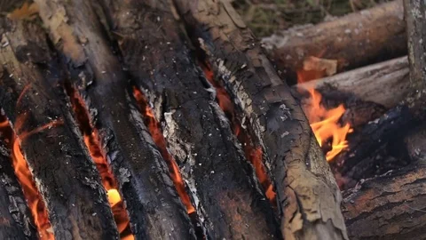 Bonfire burns at the campsite Stock Footage 84657459