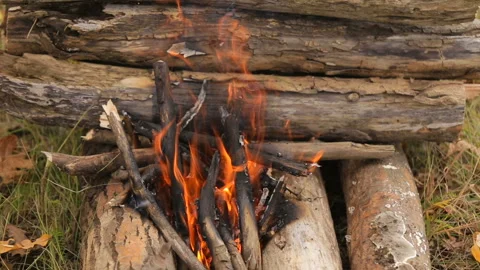 Bonfire burns at the campsite Stock Footage 87951646