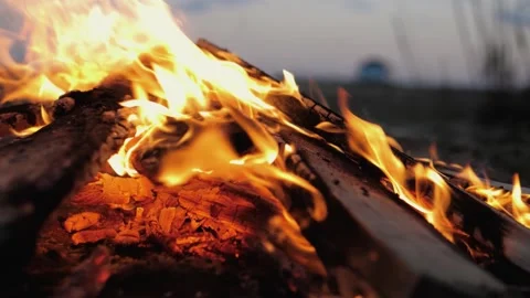 A bonfire burns. Close-up of flames. Summer evening. Slow motion Stock Footage 130732124