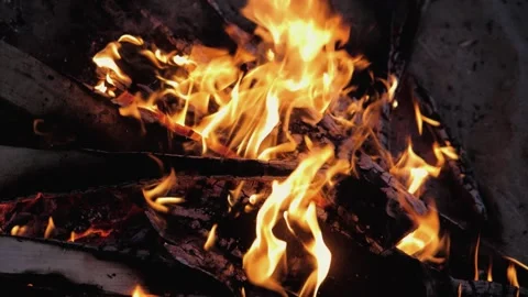 A bonfire burns. Close-up of flames. Summer evening. Slow motion Stock Footage 130732317