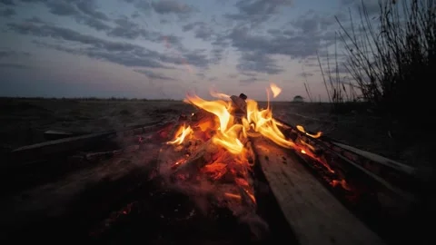 A bonfire burns. Close-up of flames. Summer evening. Slow motion Stock Footage 130732608