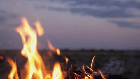 A bonfire burns. Close-up of flames. Summer evening. Slow motion Video stock 130734948