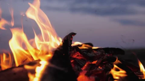A bonfire burns. Close-up of flames. Summer evening. Slow motion Stock Footage 130736073