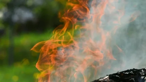 A bonfire burns. Close-up of flames. Summer evening. Slow motion. Close up .. Stock Footage 274186202