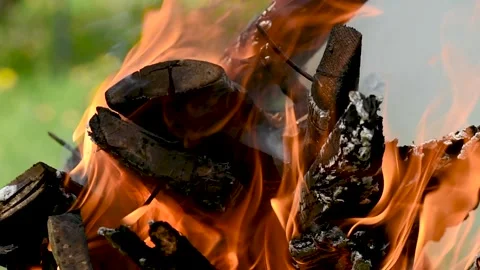 A bonfire burns. Close-up of flames. Summer evening. Slow motion. Close up .. Stock Footage 274186291
