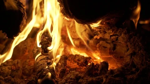 Bonfire burns in the forest at night close-up slow motion Stock Footage 114371455