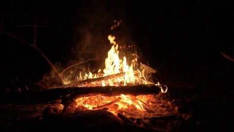 Bonfire burns in the forest at night close-up slow motion 库存影片 114371456
