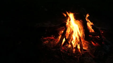 A bonfire burns in the forest at night Stock Footage 166452212