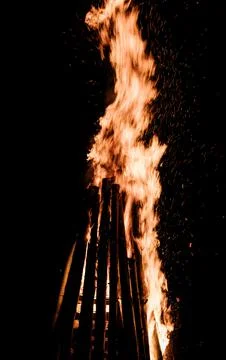 Bonfire burns in the forest. Foto stock