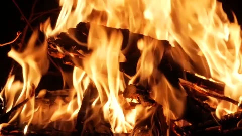 Bonfire burns in nature close -up Stock Footage 168618806