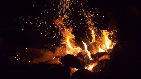 Bonfire burns in night. Close-up Stock Footage 113006676
