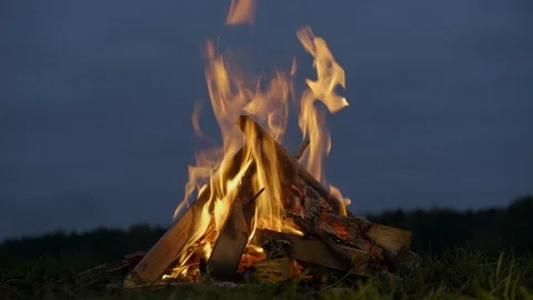 Bonfire burns in the night 動画素材 116878299