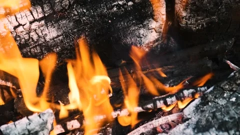 A bonfire burns at night. Stock Footage 159547010