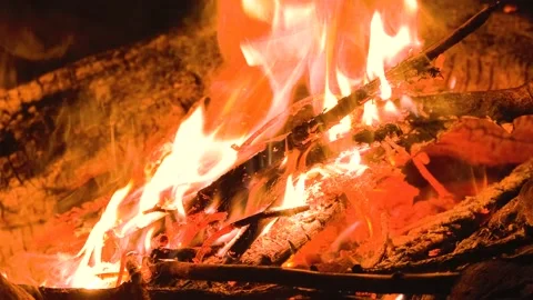A bonfire burns at night. Stock Footage 164654781