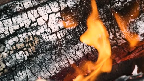 A bonfire burns at night. Stock Footage 165029831