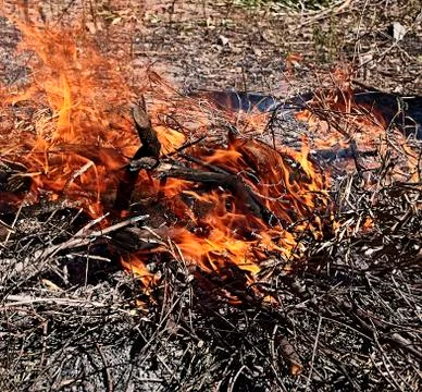 Bonfire in the bush on a sunny day Stock Photos