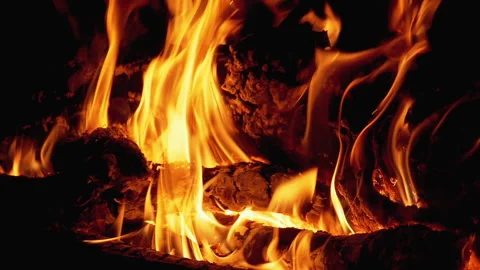 Bonfire. Campfire from Branches Burns at Night. Slow Motion Stock Footage 135351953