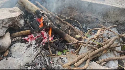 Bonfire Campfire Fire Flames Grilling Steak on the BBQ.  Stock Footage 203896042