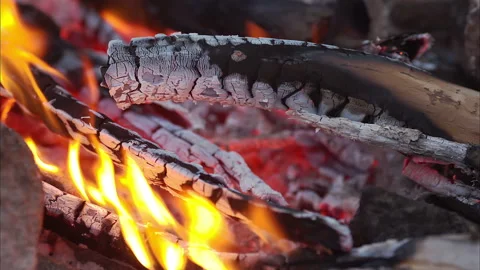 Bonfire campfire Stock Footage 100533941