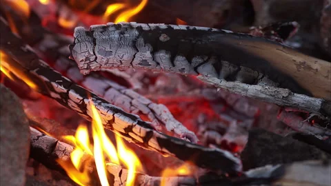 Bonfire campfire Stock Footage 100534285