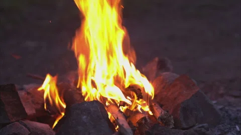Bonfire campfire Stock Footage 100534880