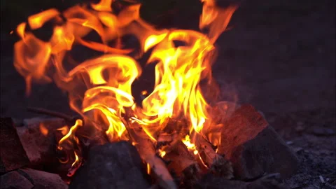 Bonfire campfire Stock Footage 100538638
