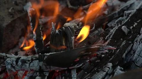 Bonfire campfire Stock Footage 100541300