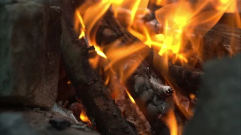 Bonfire campfire Stock Footage 100543136