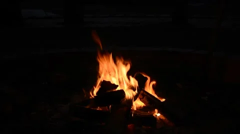 Bonfire, Campfire in the night. Stock Footage 46426224