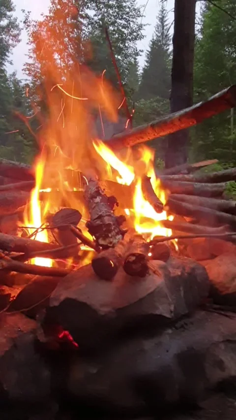 Bonfire at camping site close up at night Stock Footage 168080926