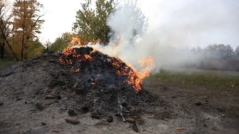 A bonfire in a clearing in the forest Видео 81257173