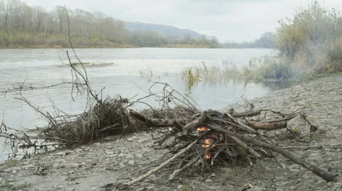 Bonfire close-up of branches Stock Footage 68393900