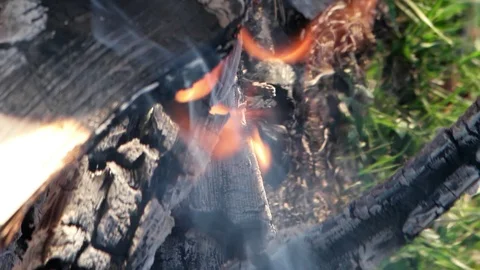 Bonfire close-up. Burning charred logs with orange flames Video stock 103255210