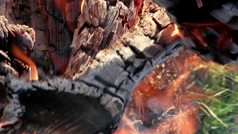 Bonfire close-up. Burning logs and glowing embers Stock Footage 103255118