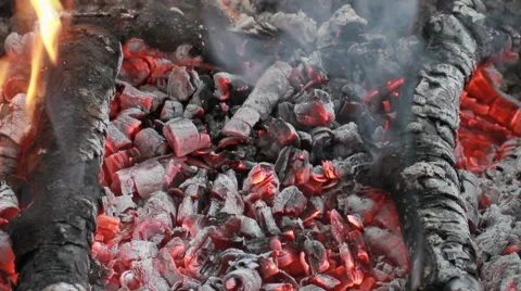 Bonfire, close up of  burning wood Stock Footage 53300511